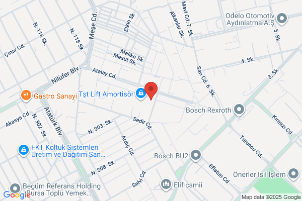 Alsan Alci Dekorasyon