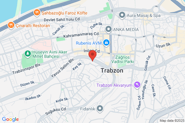 Trabzon Emlak