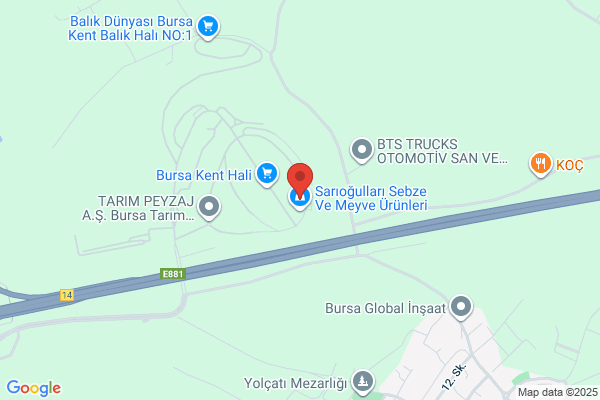 Anea Gida Hayvancilik Ve Tarim Urunleri Sanayi Ltd.sti.