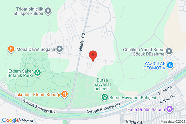 Gur Is Zeytin Fidanligi