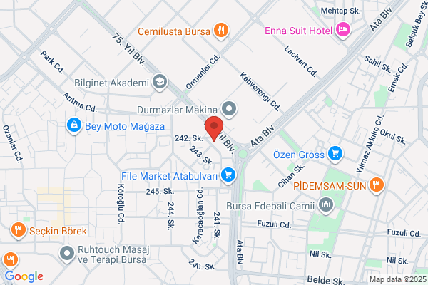 Bildesa Bilgisayar Sistemleri Ltd. Sti.