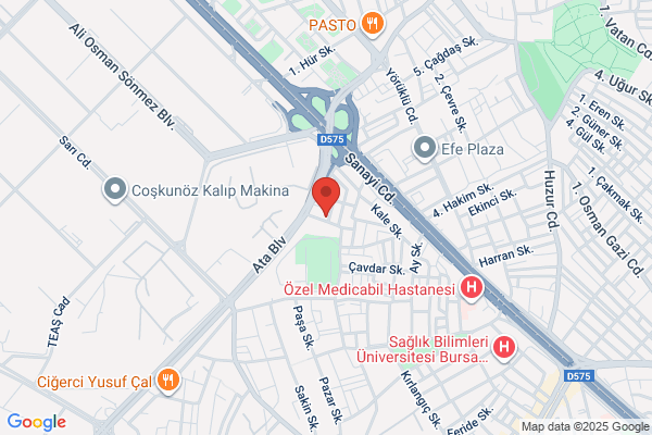 Lodos Bilgi Islem Sistemleri Ltd. Sti.