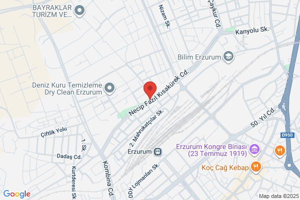 FedEx - TNT Express (Erzurum Acente)