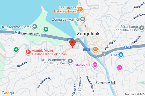 Zonguldak Amator Spor Kulup. Federasyonu Dernegi